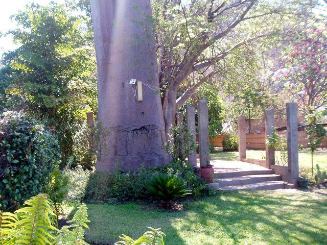 Nkhudzi Beach Lodge Nkudzi Eksteriør bilde