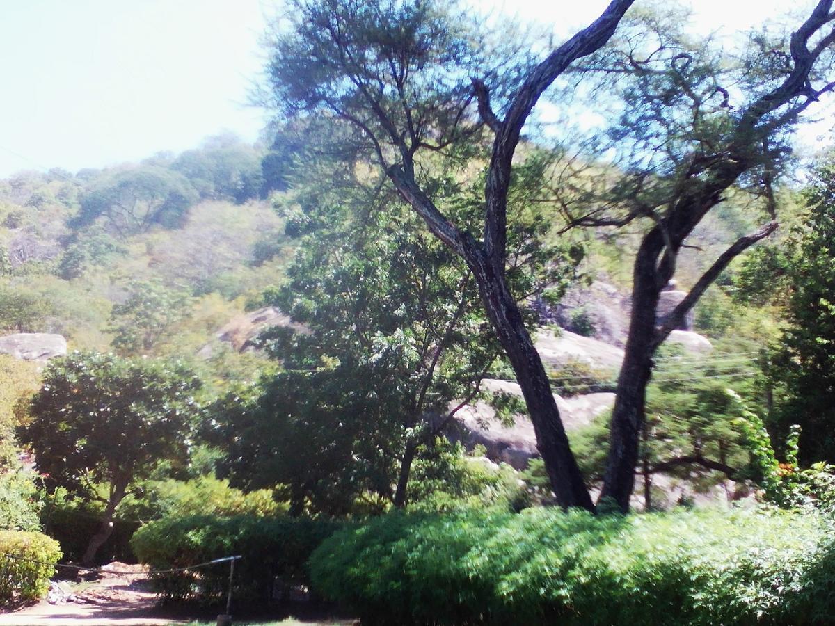 Nkhudzi Beach Lodge Nkudzi Eksteriør bilde